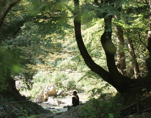 燕のお宿：第１回 『心に森を呼ぶ。』