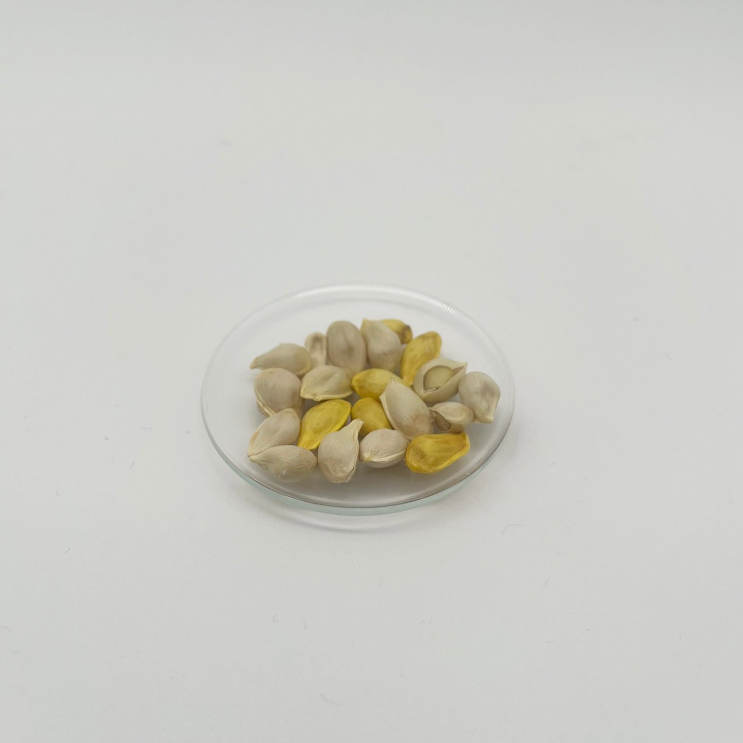 2月『早春の灯』ノンアル