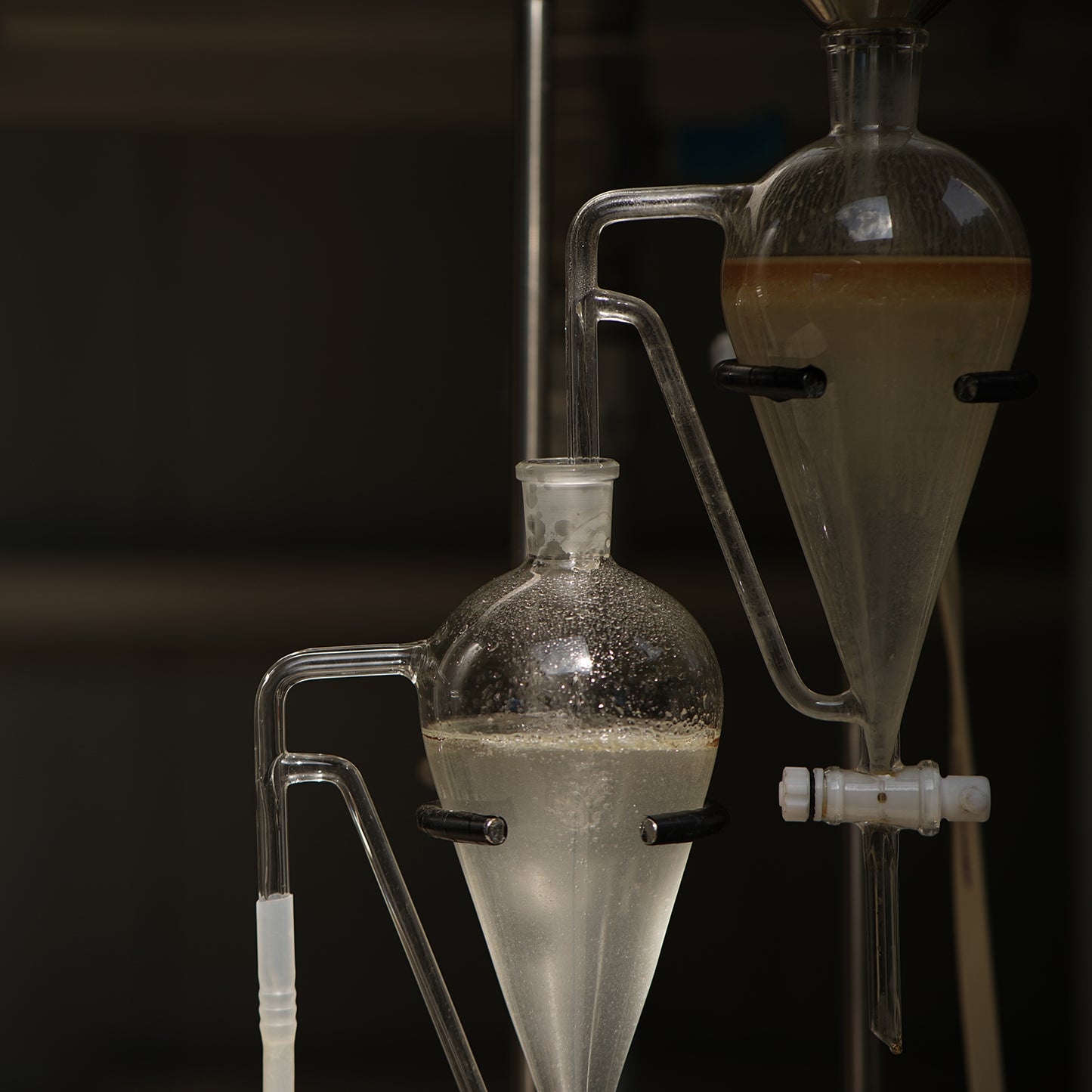 檜原産ヒノキ【幹】精油