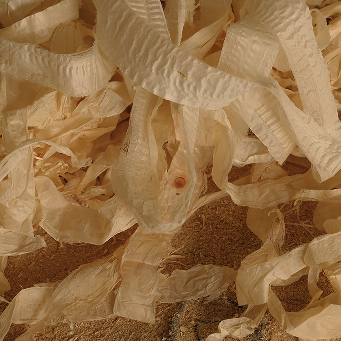 HINOKI Mist AM [Hinoki Trunk]