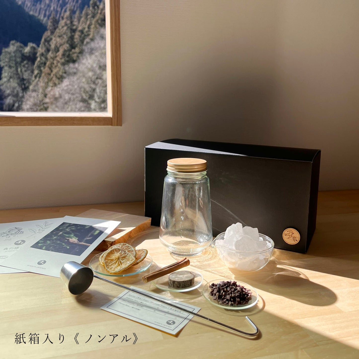 森の標本キット『目覚め』 お酒＆ノンアル