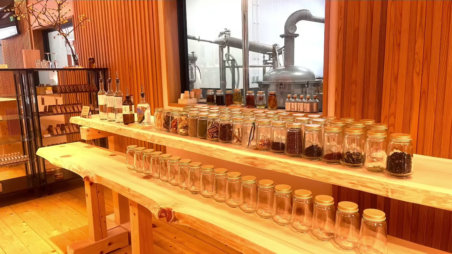 動画を読み込む: 